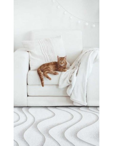 Tappeto moderno lavabile in lavatrice Sabbia Beige collezione Magic Home Carpet Decor