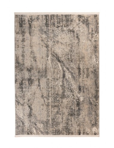 Tappeto moderno Adeon 525 Grigio, elegante e versatile.