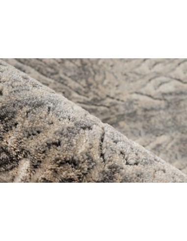Tappeto moderno Adeon 525 Grigio, elegante e versatile.