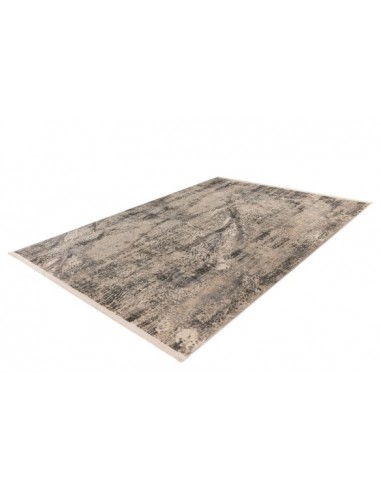Tappeto moderno Adeon 525 Grigio, elegante e versatile.