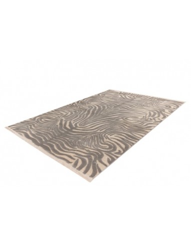 Tappeto moderno Adeon 425 Grigio, elegante e resistente design contemporaneo.