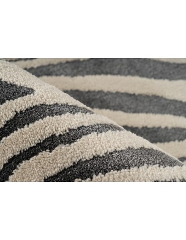 Tappeto moderno nero, elegante e resistente, dialogo tra tradizione e innovazione.