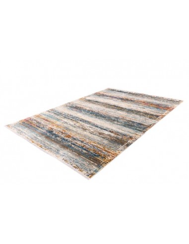 Tappeto moderno Anouk 825 Multi, elegante e resistente, versatile.