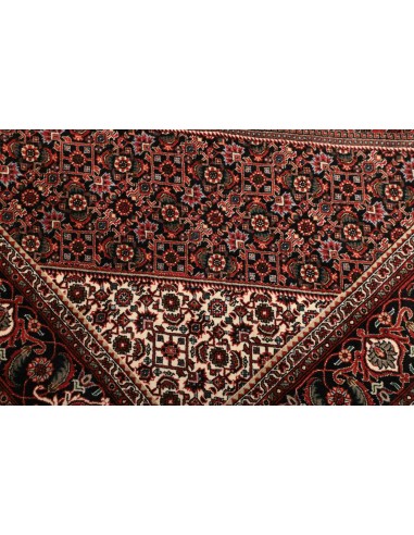 Tappeto Bidjar Con Seta Persia cm.168x246