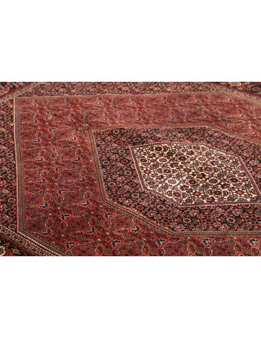 Tappeto Bidjar Con Seta Persia cm.168x246
