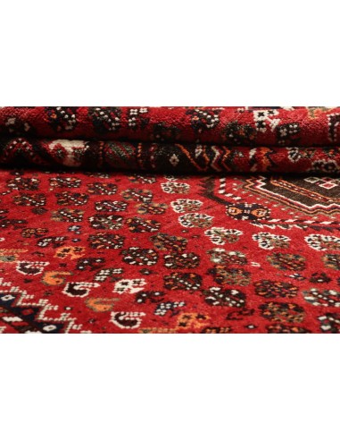 Tappeto Shiraz Persia cm.172x260