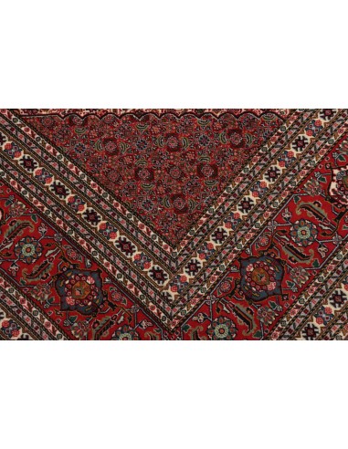 Tappeto Sarab Fine Persia cm.270x370