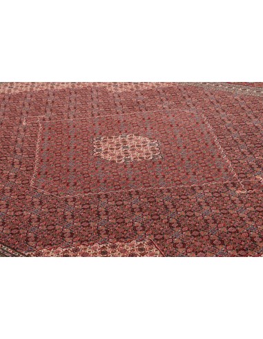 Tappeto Sarab Fine Persia cm.270x370