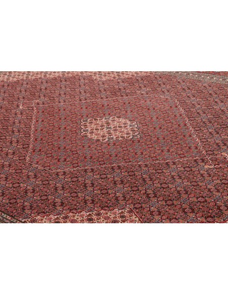 Tappeto Sarab Fine Persia cm.270x370