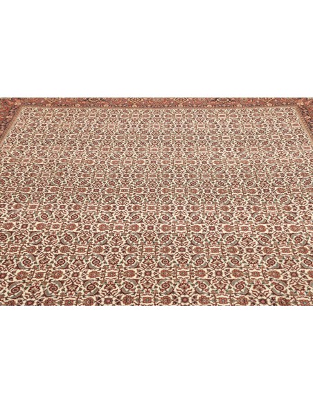 Tappeto Bidjar Con Seta Persia cm.250x337