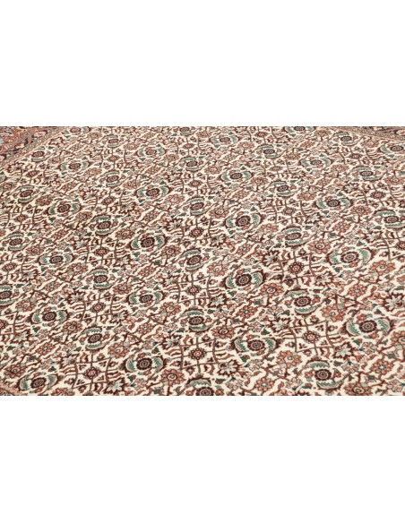 Tappeto Bidjar Persia cm.169x226