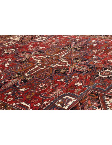 Tappeto Gorawan Persia cm.260x334