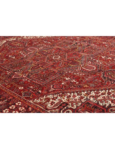 Tappeto Gorawan Persia cm.265x338