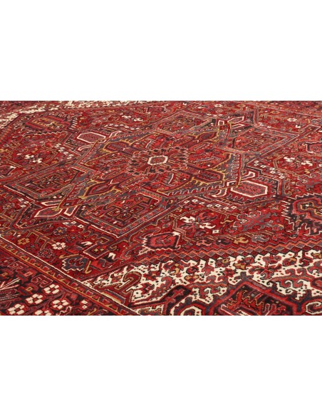 Tappeto Gorawan Persia cm.265x338
