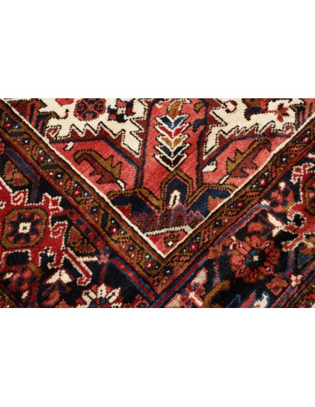 Tappeto Gorawan Persia cm.230x300