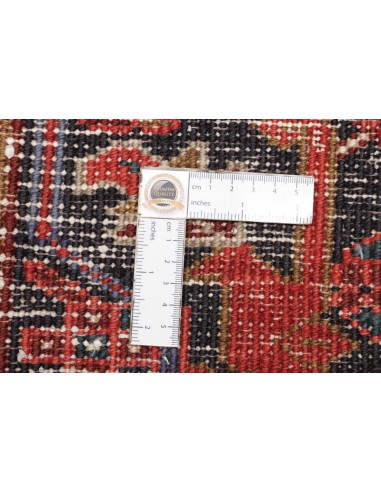 Tappeto Gorawan Persia cm.217x295