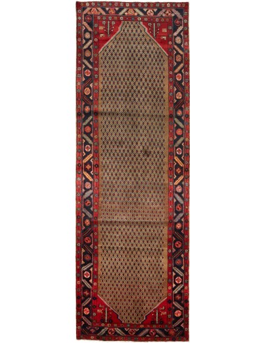 Tappeto Hamadan Persia cm.117x365