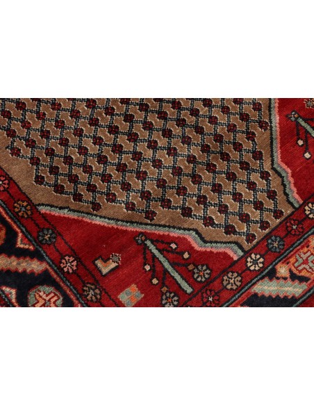 Tappeto Hamadan Persia cm.117x365