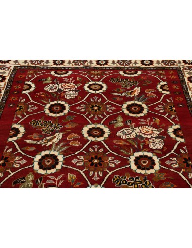 Tappeto Shiraz Persia cm.155x245