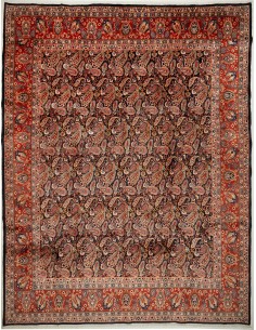 Tappeto Kashamr Zirkhaki Persia cm.295x380