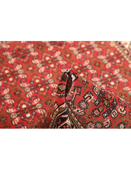 Tappeto Hamadan  A Persia cm.100x150