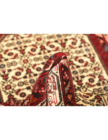 Tappeto Hamadan  A Persia cm.100x145