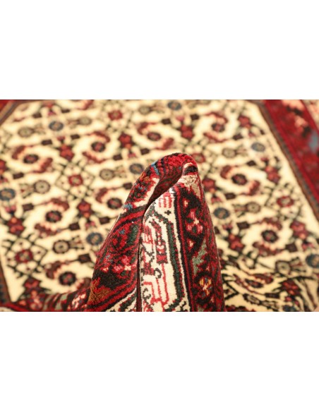 Tappeto Hamadan  A Persia cm.100x145