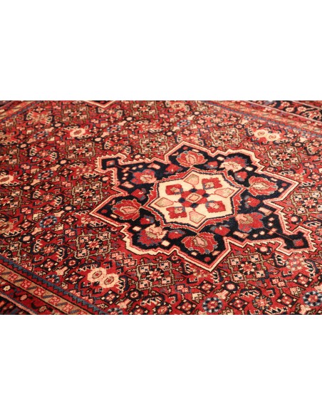Tappeto Hamadan Persia cm.164x228