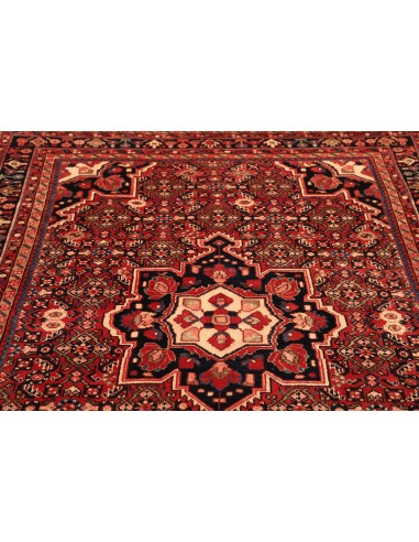 Tappeto Hamadan Persia cm.164x228