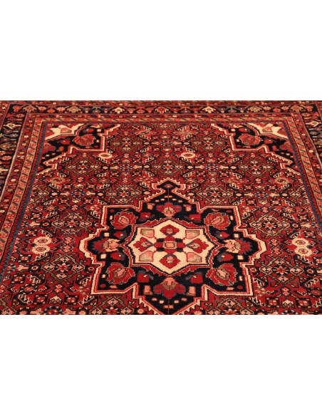 Tappeto Hamadan Persia cm.164x228