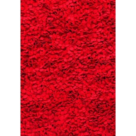 Carpet Roses Nanimarquina red
