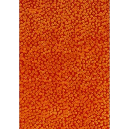 tappeto Topissimo Nanimarquina orange