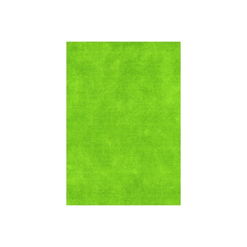 Carpet Flying Nanimarquina Carpet green