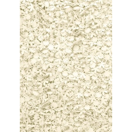 tappeto Little Field of Flowers Nanimarquina ivory