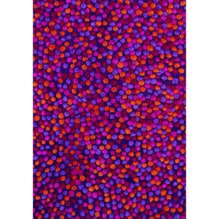 tappeto Topissimo Nanimarquina reds