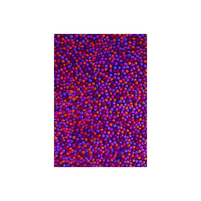 tappeto Topissimo Nanimarquina reds