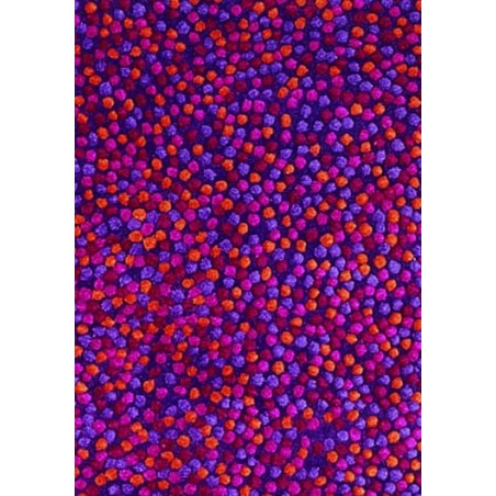 tappeto Topissimo Nanimarquina reds