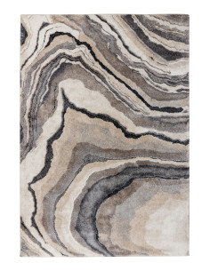 Bologna 461 Grey Modern Fantasy Rug