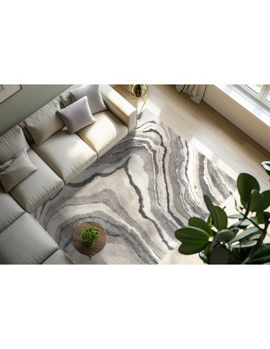 Bologna 461 Grey Modern Fantasy Rug