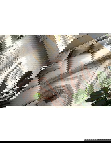 Bologna 461 Terra Modern Fantasy Rug with Earthy Tones