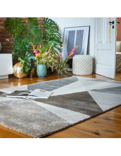 Canyon 974 Taupe Geometric Rug – Durable Modern Carpet 2