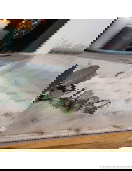 Tappeto moderno Aspen beige 3,3 cm