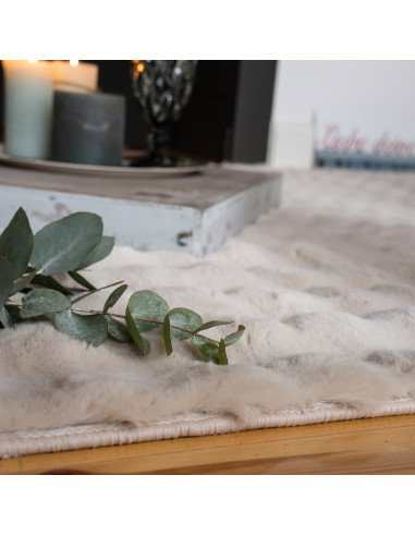 Aspen 485 Beige Hand-Tufted Rug – Soft & Durable