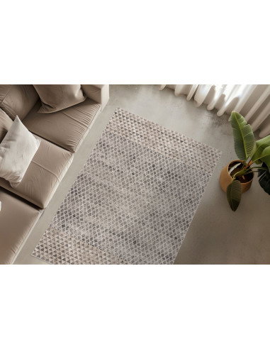 Tappeto moderno grigio Bella 236 per salotto