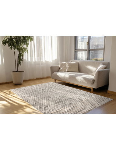 Bella 236 Grey Modern Rug with Geometric Pattern