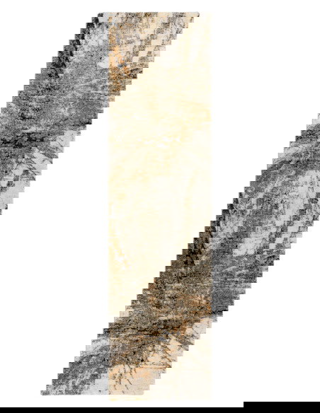 Bologna 460 Green Modern Fantasy Rug – Durable & Stylish