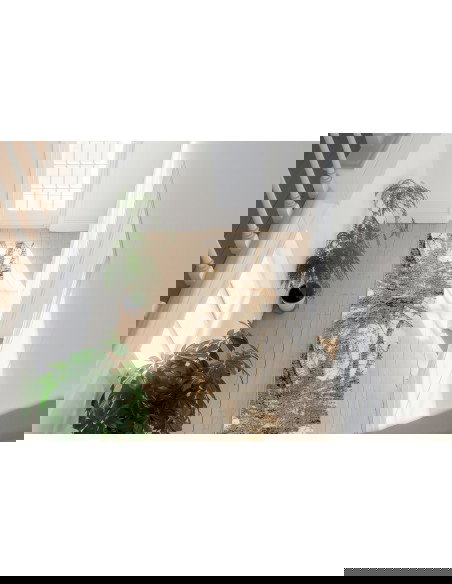 Bologna 460 Green Modern Fantasy Rug – Durable & Stylish