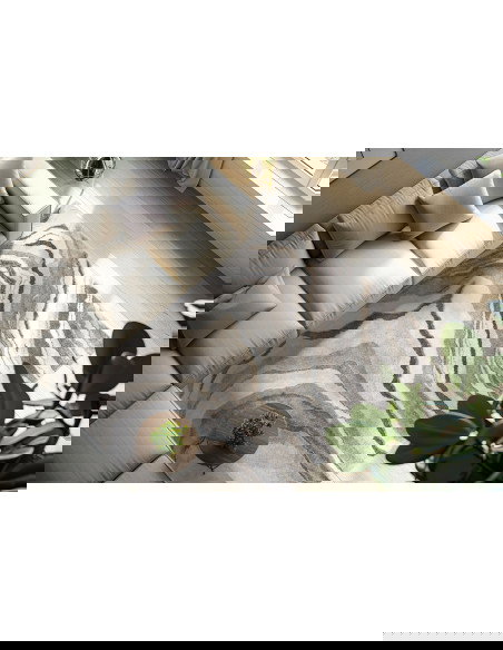 Bologna 461 Grey Modern Fantasy Rug