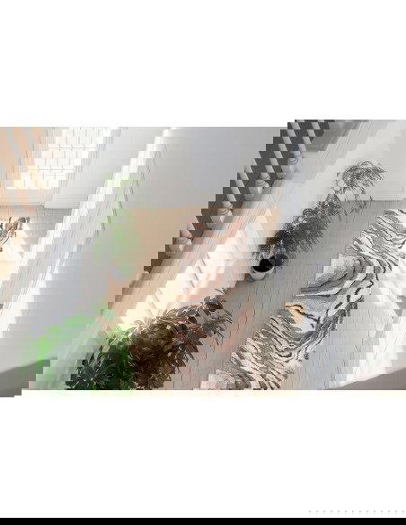 Bologna 461 Terra Modern Fantasy Rug with Earthy Tones