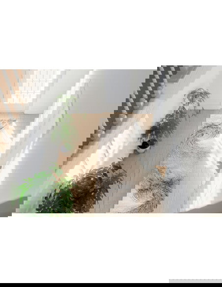 Tappeto moderno Bologna 462 grigio per salotto elegante